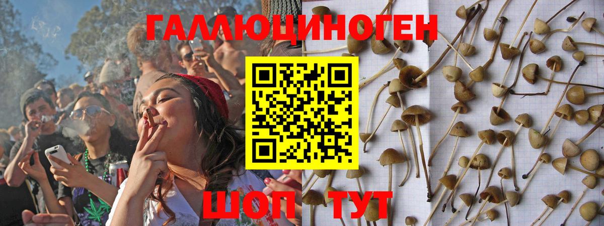 Псилоцибиновые грибы MAGIC MUSHROOMS  Вход с VPN  Зерноград 